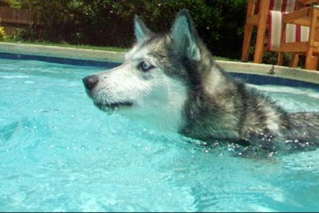 Kema in the Water 05.jpg